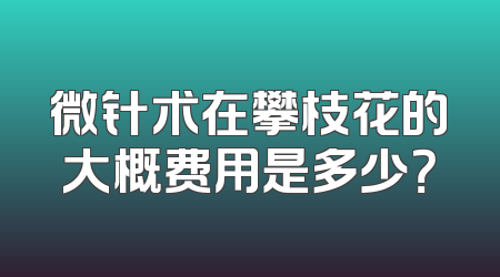 微针术在攀枝花的大概费用是多少？