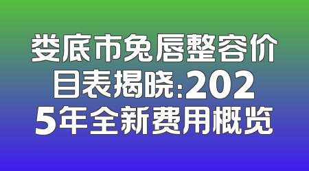 娄底市兔唇整容价目表揭晓：2025年全新费用概览