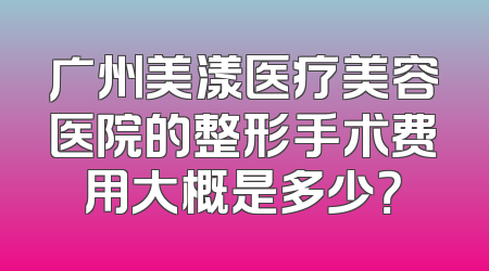 广州美漾医疗美容医院的整形手术费用大概是多少？