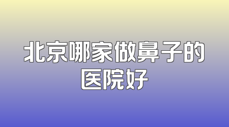 北京哪家做鼻子的医院好