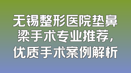 无锡整形医院垫鼻梁手术专业推荐，优质手术案例解析
