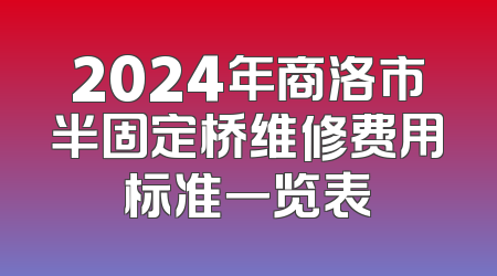 2024年商洛市半固定桥维修费用标准一览表