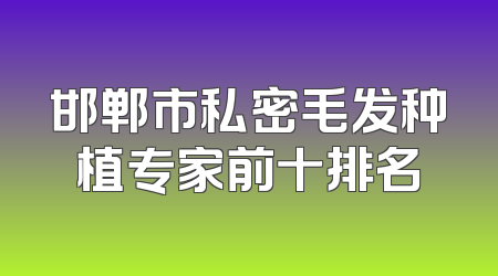 邯郸市私密毛发种植专家前十排名