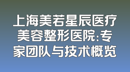 上海美若星辰医疗美容整形医院：专家团队与技术概览