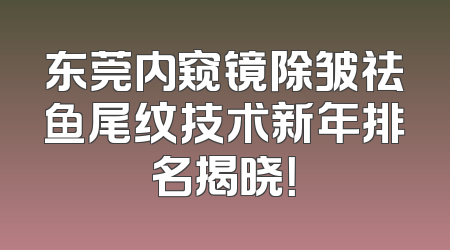 东莞内窥镜除皱祛鱼尾纹技术新年排名揭晓！