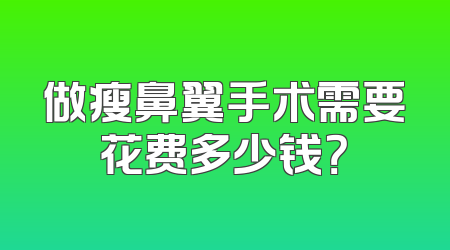 做瘦鼻翼手术需要花费多少钱？