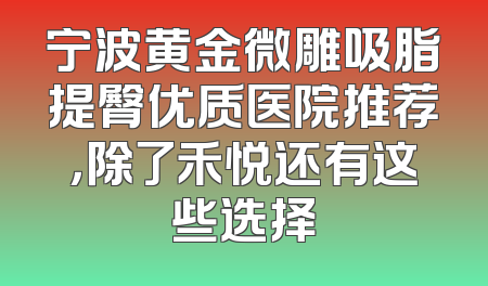 宁波黄金微雕吸脂提臀优质医院推荐，除了禾悦还有这些选择