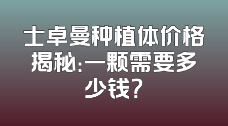 士卓曼种植体价格揭秘：一颗需要多少钱？