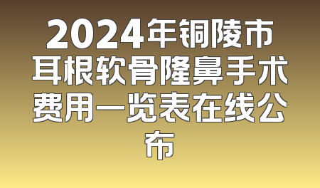 2024年铜陵市耳根软骨隆鼻手术费用一览表在线公布