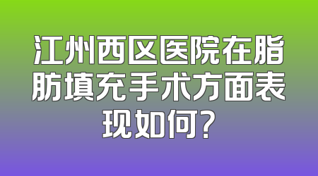 江州西区医院在脂肪填充手术方面表现如何？