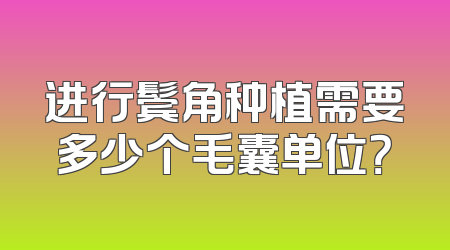 进行鬓角种植需要多少个毛囊单位？