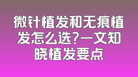 微针植发和无痕植发怎么选？一文知晓植发要点
