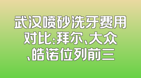 武汉喷砂洗牙费用对比：拜尔、大众、皓诺位列前三