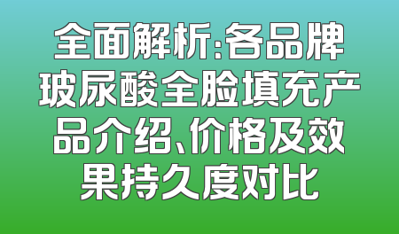 全面解析：各品牌玻尿酸全脸填充产品介绍、价格及效果持久度对比