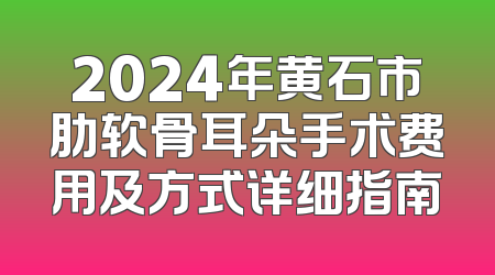 2024年黄石市肋软骨耳朵手术费用及方式详细指南