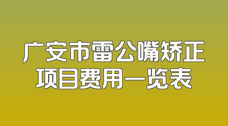 广安市雷公嘴矫正项目费用一览表