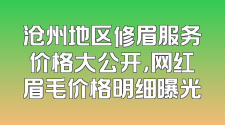 沧州地区修眉服务价格大公开，网红眉毛价格明细曝光