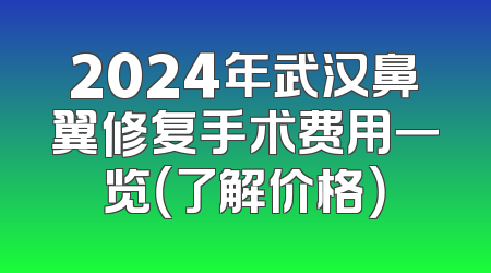 2024年武汉鼻翼修复手术费用一览（了解价格）