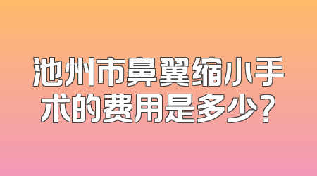池州市鼻翼缩小手术的费用是多少？