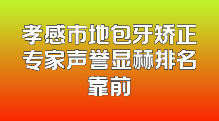 孝感市地包牙矫正专家声誉显赫排名靠前