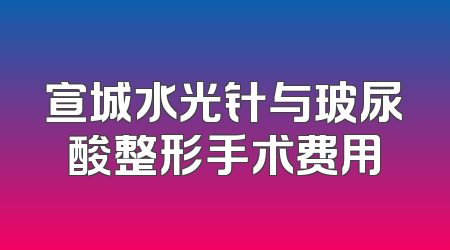 宣城水光针与玻尿酸整形手术费用