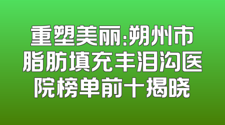 重塑美丽：朔州市脂肪填充丰泪沟医院榜单前十揭晓