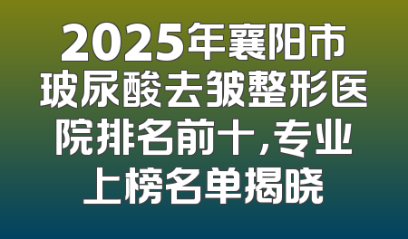 2025年襄阳市玻尿酸去皱整形医院排名前十，专业上榜名单揭晓