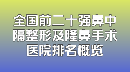 全国前二十强鼻中隔整形及隆鼻手术医院排名概览