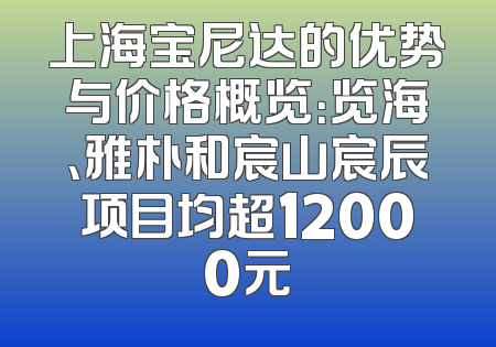 上海宝尼达的优势与价格概览：览海、雅朴和宸山宸辰项目均超12000元