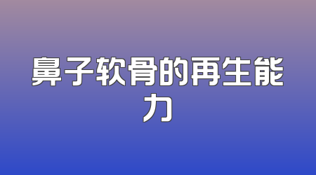 鼻子软骨的再生能力