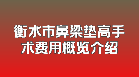 衡水市鼻梁垫高手术费用概览介绍