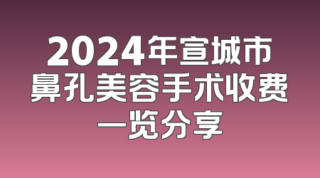 2024年宣城市鼻孔美容手术收费一览分享