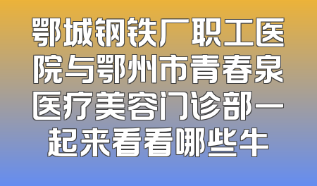 鄂城钢铁厂职工医院与鄂州市青春泉医疗美容门诊部一起来看看哪些牛