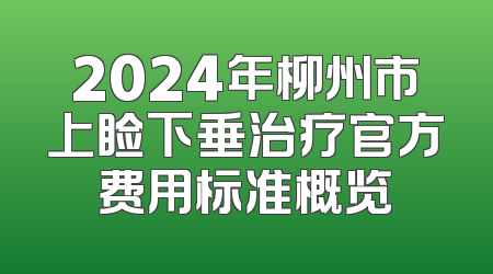 2024年柳州市上睑下垂治疗官方费用标准概览