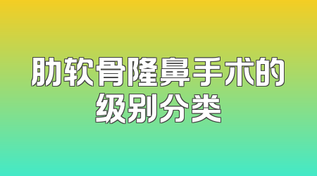 肋软骨隆鼻手术的级别分类