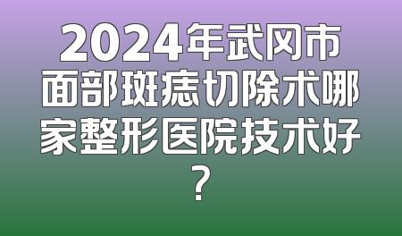 2024年武冈市面部斑痣切除术哪家整形医院技术好？