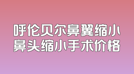 呼伦贝尔鼻翼缩小鼻头缩小手术价格