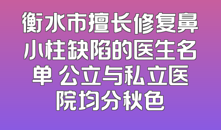衡水市擅长修复鼻小柱缺陷的医生名单 公立与私立医院均分秋色