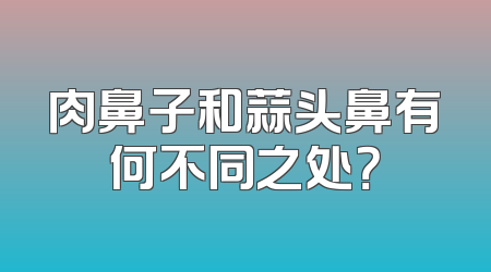 肉鼻子和蒜头鼻有何不同之处？