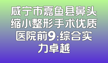 咸宁市嘉鱼县鼻头缩小整形手术优质医院前9：综合实力卓越