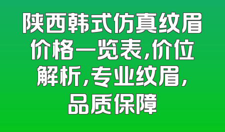 陕西韩式仿真纹眉价格一览表，价位解析，专业纹眉，品质保障