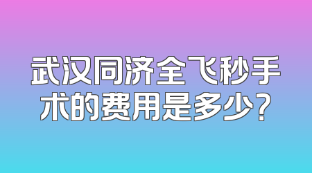 武汉同济全飞秒手术的费用是多少？
