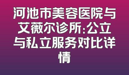 河池市美容医院与艾薇尔诊所：公立与私立服务对比详情
