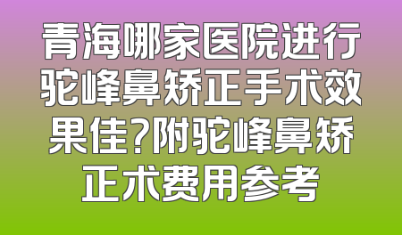 青海哪家医院进行驼峰鼻矫正手术效果佳？附驼峰鼻矫正术费用参考