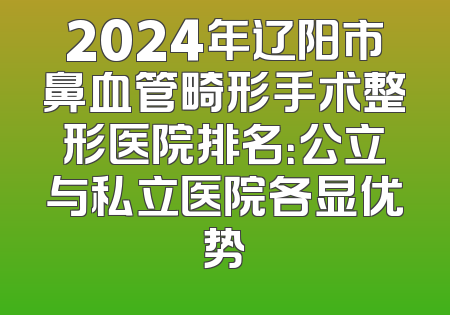 2024年辽阳市鼻血管畸形手术整形医院排名：公立与私立医院各显优势