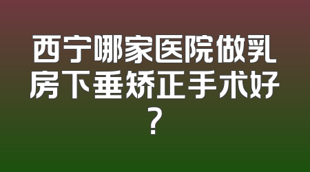 西宁哪家医院做乳房下垂矫正手术好？
