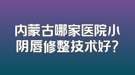 内蒙古哪家医院小阴唇修整技术好？