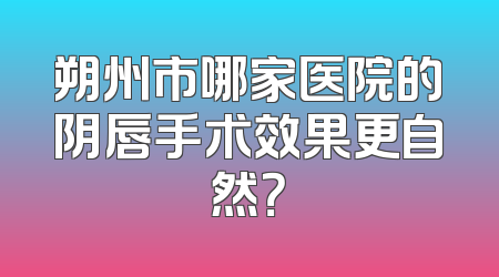 朔州市哪家医院的阴唇手术效果更自然？