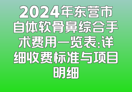 2024年东营市自体软骨鼻综合手术费用一览表：详细收费标准与项目明细