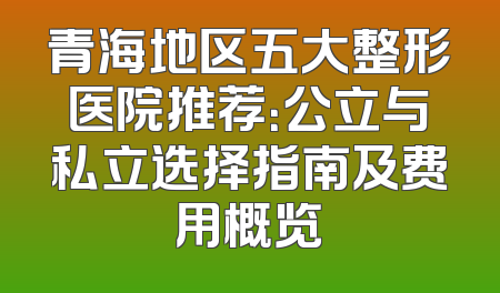 青海地区五大整形医院推荐：公立与私立选择指南及费用概览